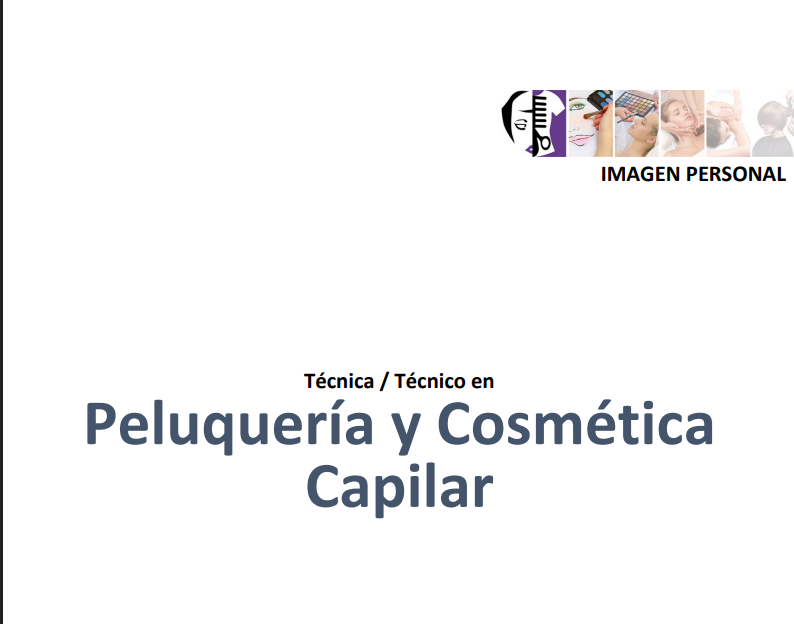 Portada de Técnica / Técnico en Peluquería y Cosmética capilar