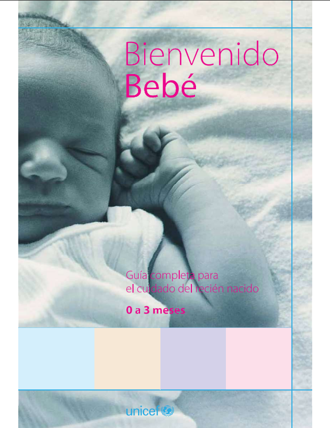 Portada de BIENVENIDO BEBE