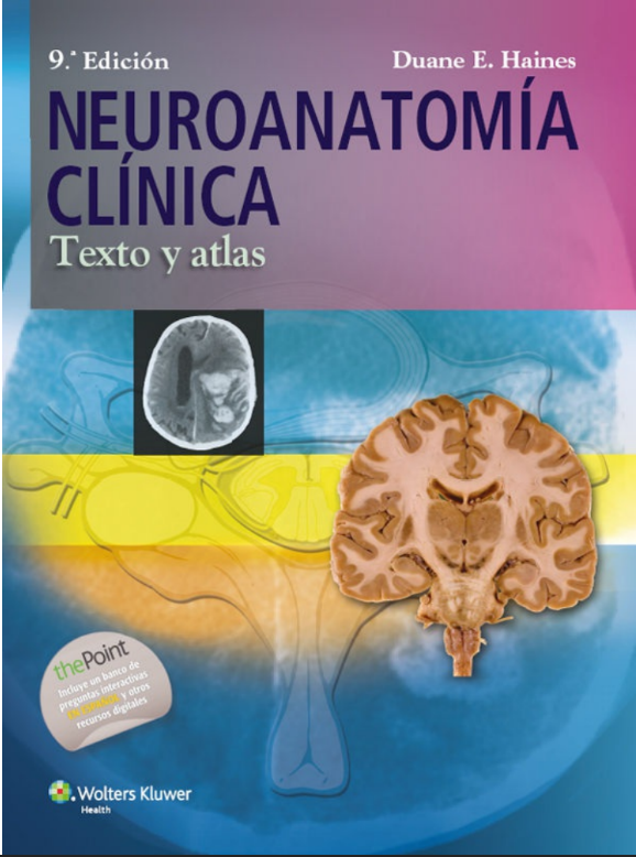 Portada de NEUROANATOMIA CLINICA