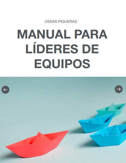 Portada de MANUAL PARA LÍDERES DE EQUIPOS