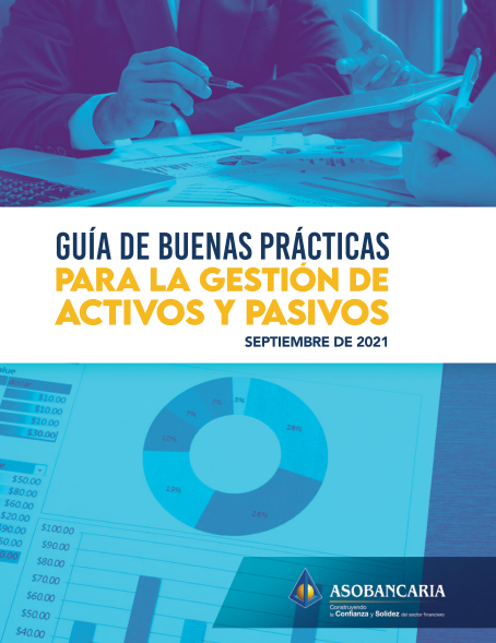 Portada de GUÍA DE BUENAS PRÁCTICAS PARA LA GESTIÓN DE ACTIVOS Y PASIVOS