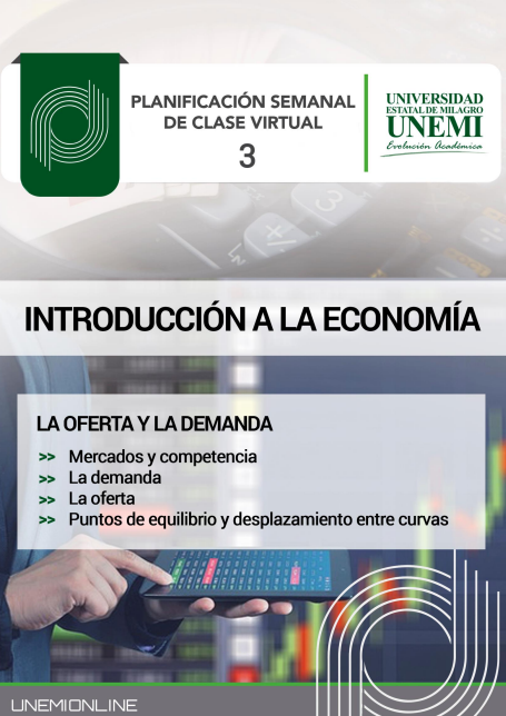 Portada de INTRODUCCIÓN A LA ECONOMÍA: LA OFERTA Y LA DEMANDA